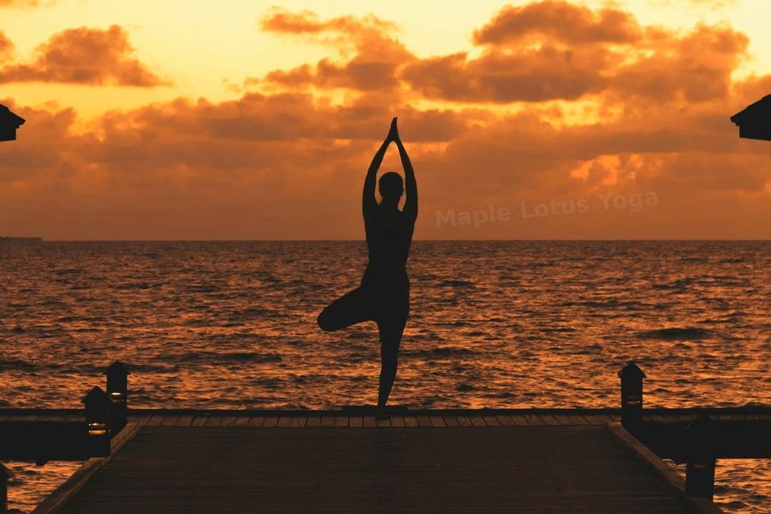 Maple Lotus Yoga