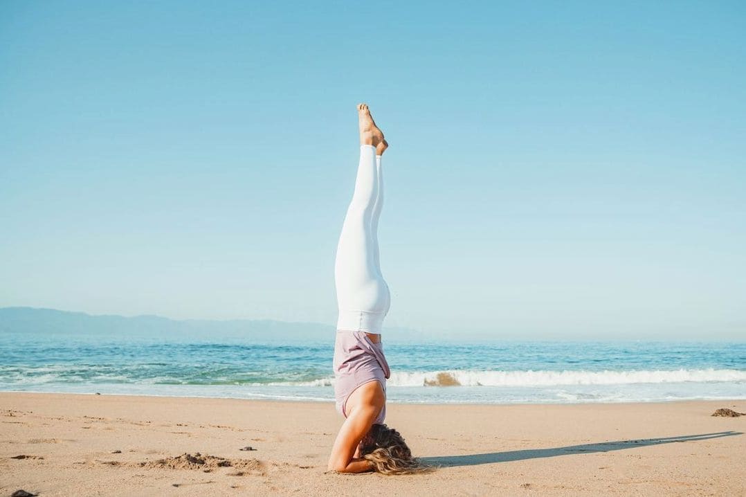 Maple Lotus Yoga 11